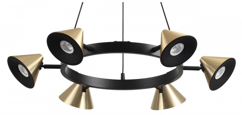 Фото Подвесная люстра Lumion Lamina 8233/6 LMN_8233_6 - интернет-магазин МегаТерем в Москве