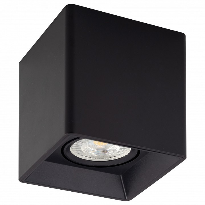 Фото Накладной светильник Denkirs DK3030 DK3030-BK DK_DK3030-BK - интернет-магазин МегаТерем в Москве