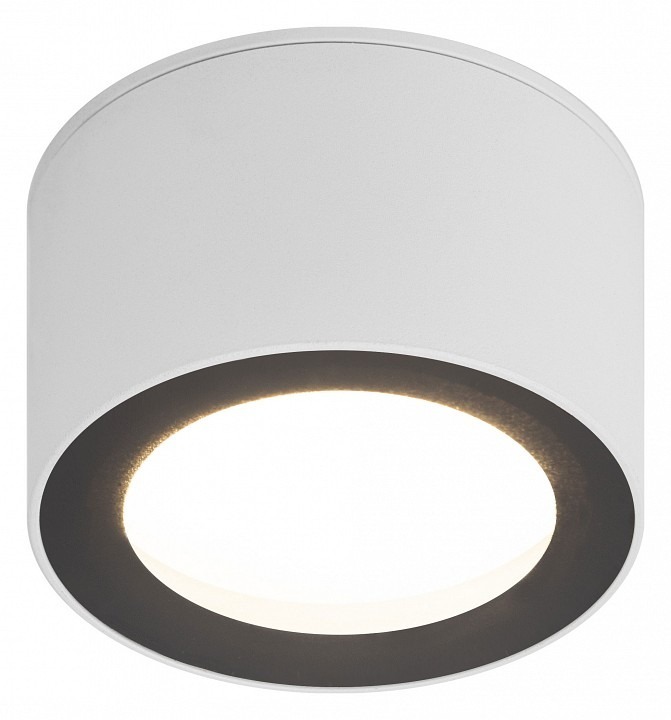 Фото Накладной светильник Эра OL28 WH/BK Б0055581 ER_B0055581 - интернет-магазин МегаТерем в Москве