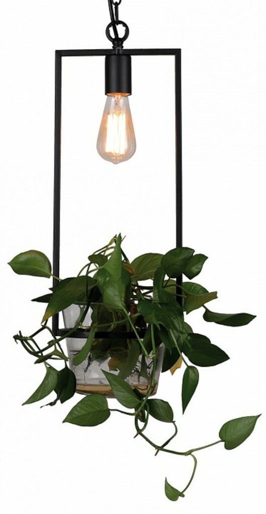 Фото Подвесной светильник Favourite Situla 1975-1P FV_1975-1P - интернет-магазин МегаТерем в Москве