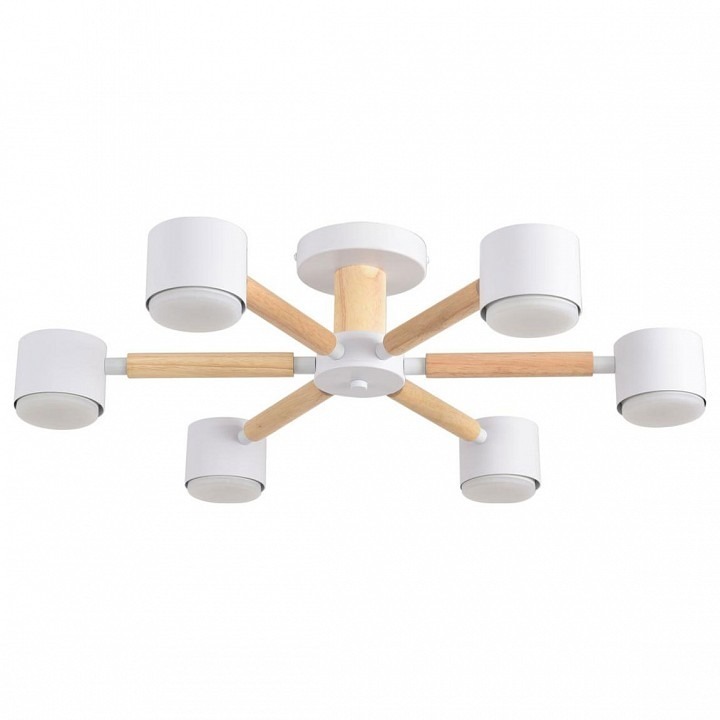 Фото Люстра на штанге Lumion VUDI 8306/6C LMN_8306_6C - интернет-магазин МегаТерем в Москве