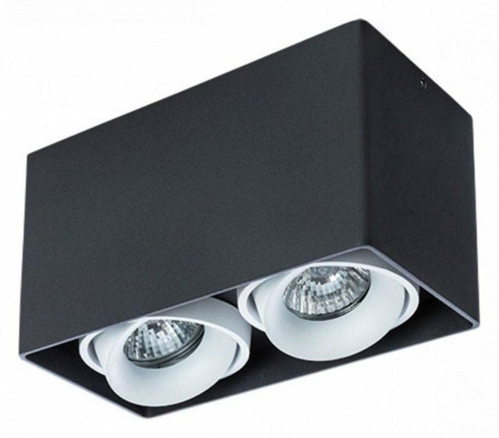 Фото Накладной светильник Arte Lamp Pictor A5654PL-2BK AR_A5654PL-2BK - интернет-магазин МегаТерем в Москве