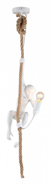 Фото Подвесной светильник Aployt Magali APL.309.06.01 AP_APL.309.06.01 - интернет-магазин МегаТерем в Москве