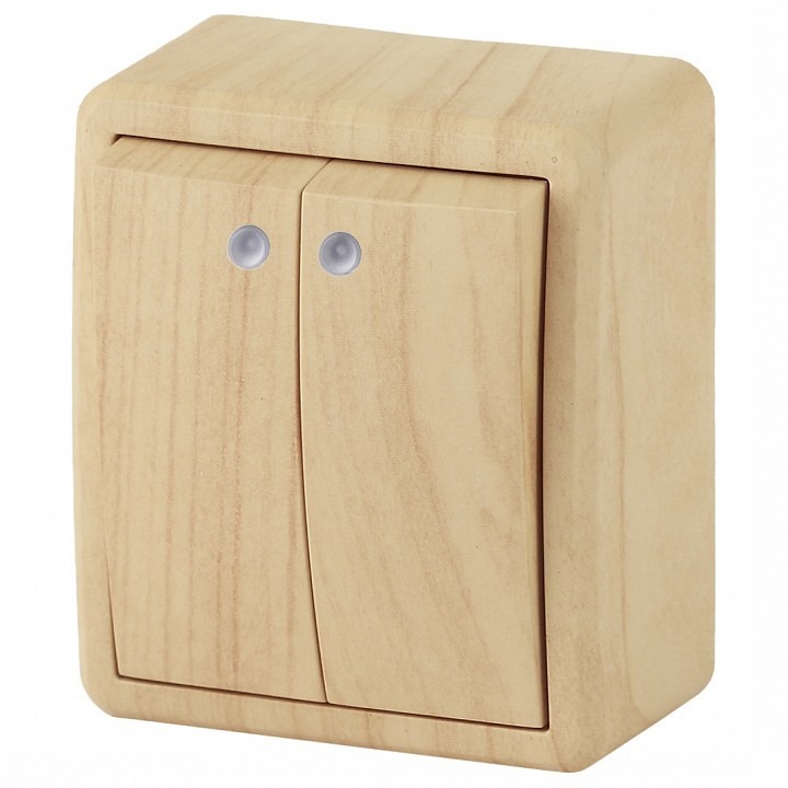 Фото Выключатель двухклавишный с подсветкой Эра Эра Эксперт 11-1205-11 ER_B0020668 - интернет-магазин МегаТерем в Москве