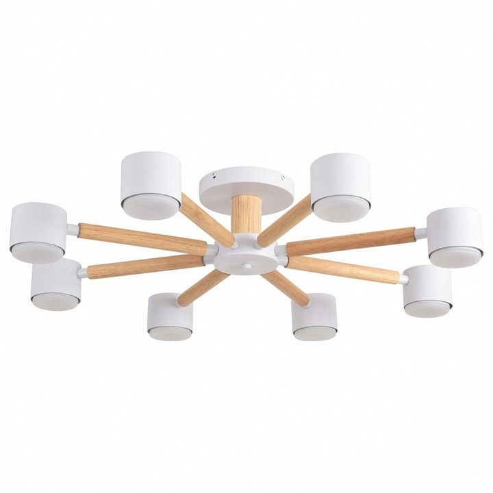 Фото Люстра на штанге Lumion VUDI 8306/8C LMN_8306_8C - интернет-магазин МегаТерем в Москве