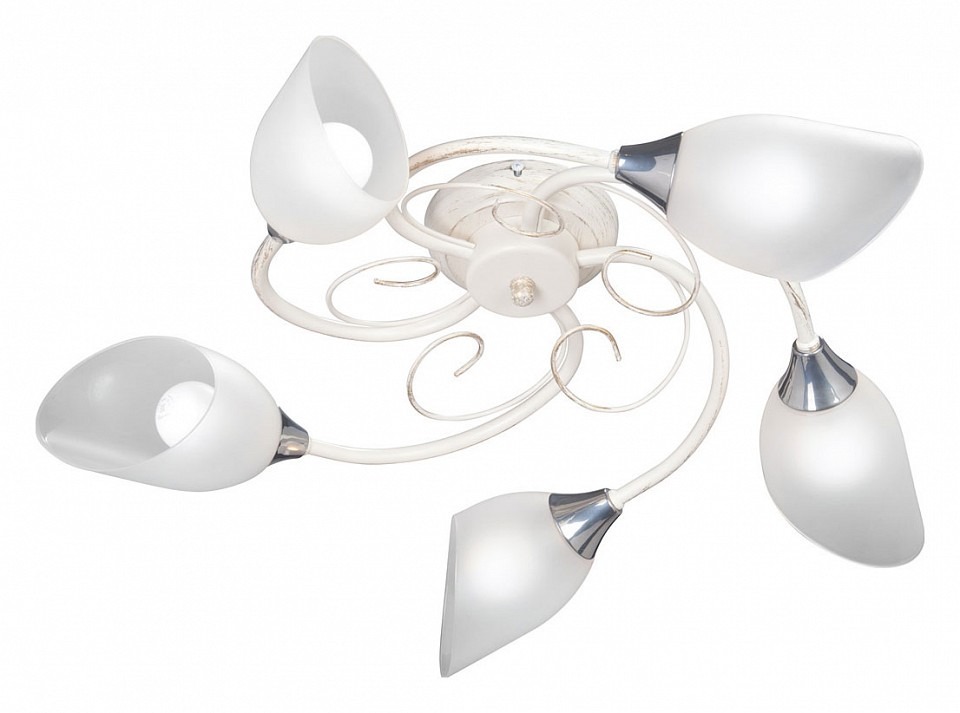 Фото Потолочная люстра Vitaluce 3667 V3667-0/5PL VI_V3667-0_5PL - интернет-магазин МегаТерем в Москве