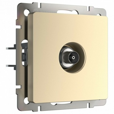 ТВ-розетка оконечная без рамки Werkel шампань W1183011 WRK_a050856
