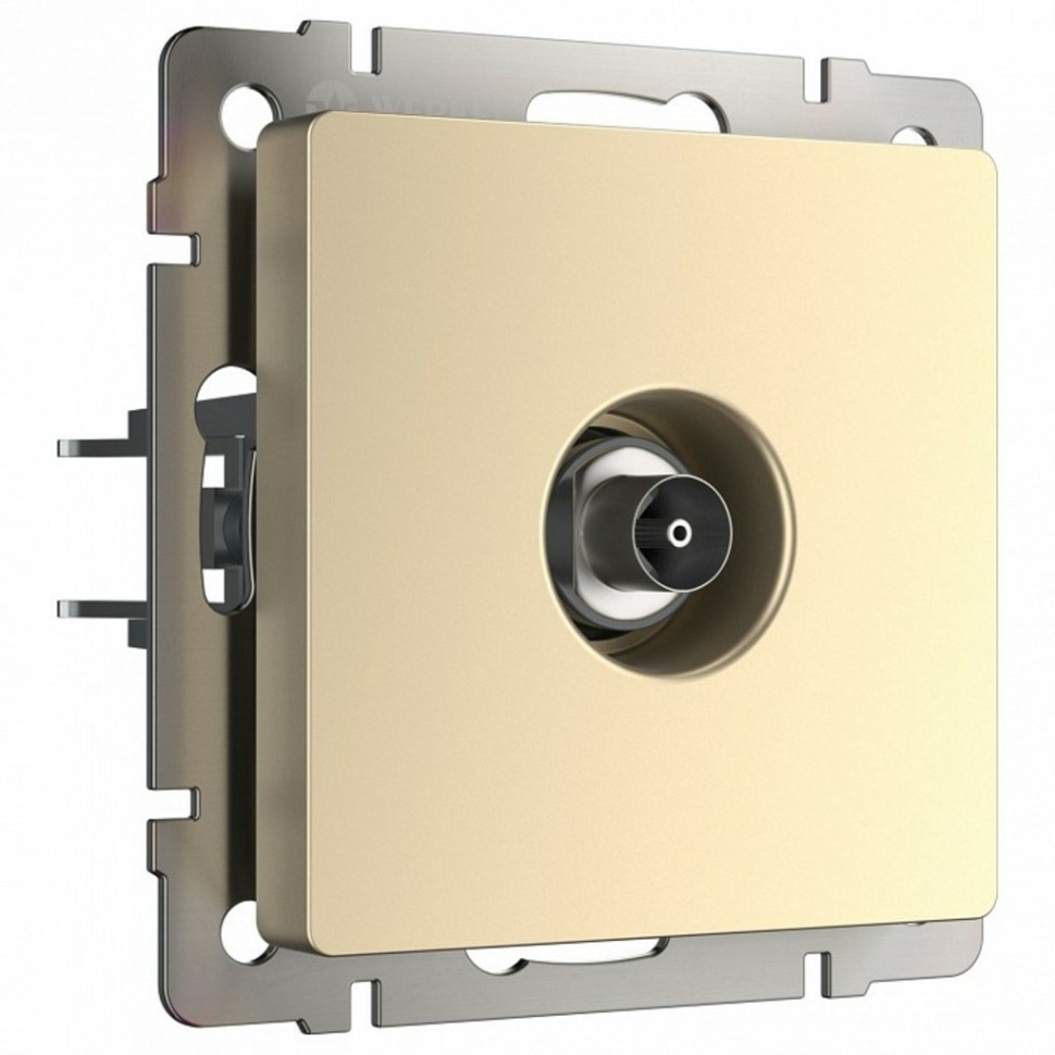 Фото ТВ-розетка оконечная без рамки Werkel шампань W1183011 WRK_a050856 - интернет-магазин МегаТерем в Москве