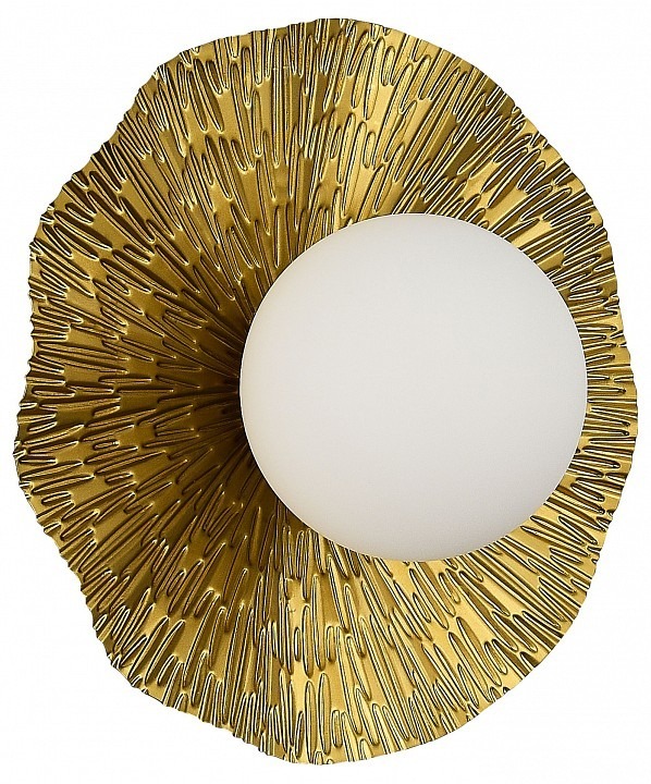 Фото Накладной светильник EVOLUCE Lorea SLE1196-301-01 EVO_SLE1196-301-01 - интернет-магазин МегаТерем в Москве