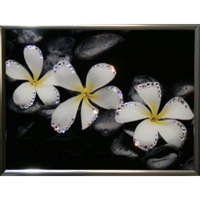 Картина Белые цветы с крист...