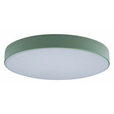 Накладной светильник Loft it Axel 1 10002/24 Green LF_10002_24_Green