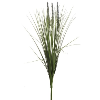 Вейник остроконечный зелены...