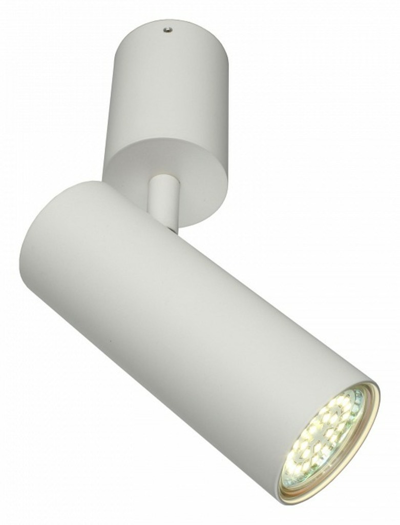 Фото Спот Aployt Berenis APL.007.02.01 AP_APL.007.02.01 - интернет-магазин МегаТерем в Москве