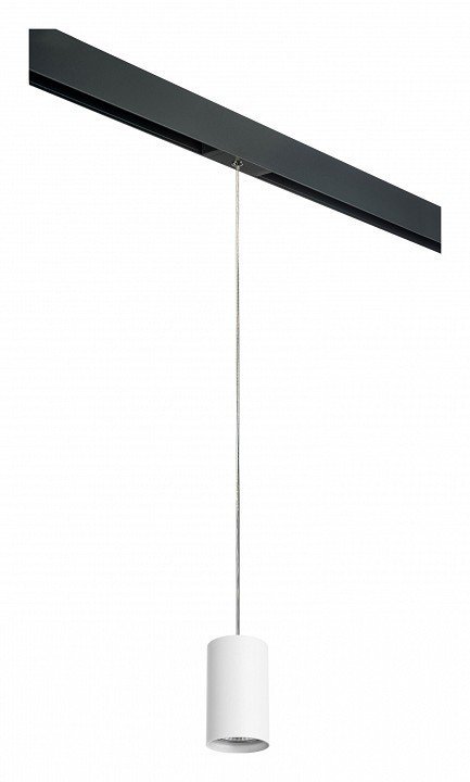 Фото Подвесной светильник Lightstar Rullo PRORP436 LS_PRORP436 - интернет-магазин МегаТерем в Москве