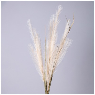 Цветок искусственный помпас...