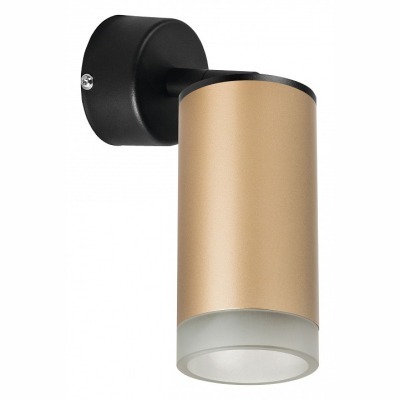 Спот Lightstar Rullo RB44030 LS_RB44030