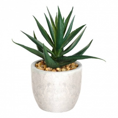 Растение в горшке Eglo Chit...