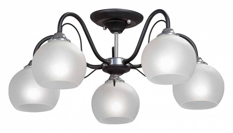 Фото Люстра на штанге Vitaluce 3948 V3948-1/5PL VI_V3948-1_5PL - интернет-магазин МегаТерем в Москве