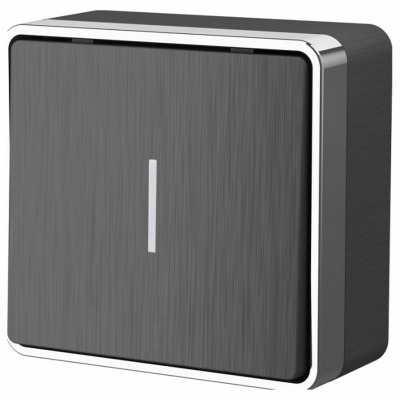 Выключатель одноклавишный с подсветкой Werkel Gallant (графит рифленый) W5010104 WRK_a051335