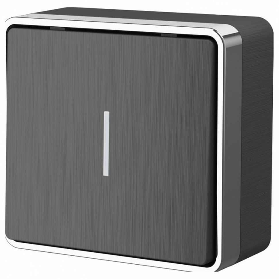 Фото Выключатель одноклавишный с подсветкой Werkel Gallant (графит рифленый) W5010104 WRK_a051335 - интернет-магазин МегаТерем в Москве