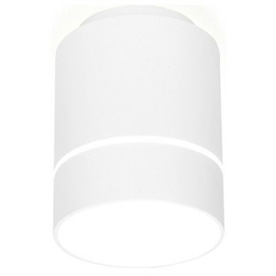 Накладной светильник Ambrella Light TN TN256 AMBR_TN256