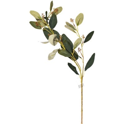 Веточка эвкалипта с цветами листья зеленые 72см(24) (TT-00006442)
