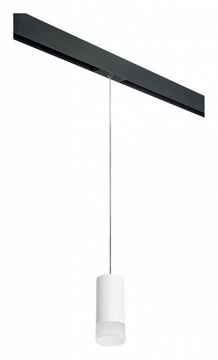 Фото Подвесной светильник Lightstar Rullo PRORP43631 LS_PRORP43631 - интернет-магазин МегаТерем в Москве