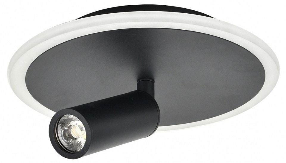 Фото Светильник на штанге Escada 20046LED 20046SMA/01LED BK ESC_20046SMA_01LED_BK - интернет-магазин МегаТерем в Москве