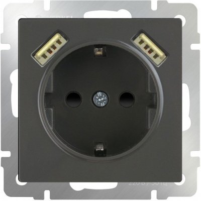 Розетка с заземлением, шторками и 2хUSB, без рамки Werkel Серо-коричневый WL07-SKGS-USBx2-IP20