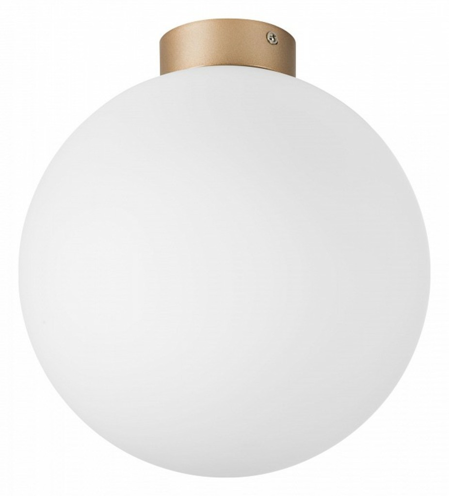 Фото Накладной светильник Lightstar Globo 812033 LS_812033 - интернет-магазин МегаТерем в Москве