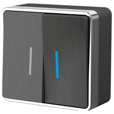 Выключатель двухклавишный с подсветкой Werkel Gallant (графит рифленый) W5020104 WRK_a051340