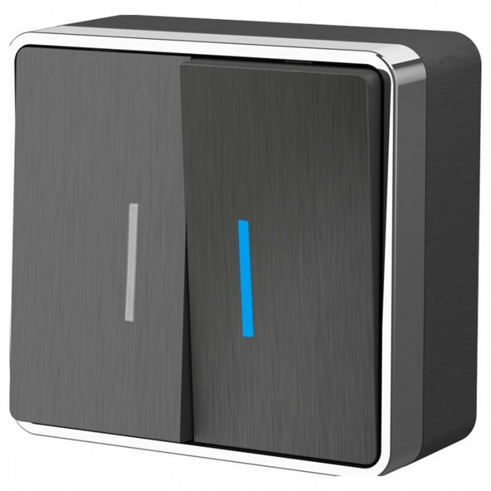 Фото Выключатель двухклавишный с подсветкой Werkel Gallant (графит рифленый) W5020104 WRK_a051340 - интернет-магазин МегаТерем в Москве