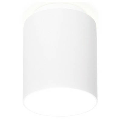 Накладной светильник Ambrella Light TN TN260 AMBR_TN260