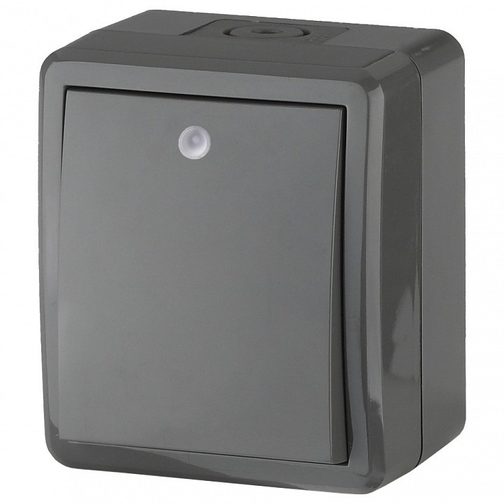 Фото Выключатель одноклавишный с подсветкой Эра Эра Эксперт 11-1402-03 ER_B0020672 - интернет-магазин МегаТерем в Москве