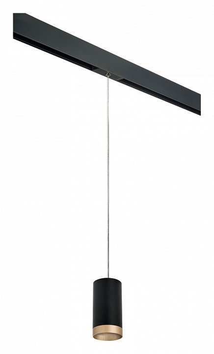 Фото Подвесной светильник Lightstar Rullo PRORP43740 LS_PRORP43740 - интернет-магазин МегаТерем в Москве