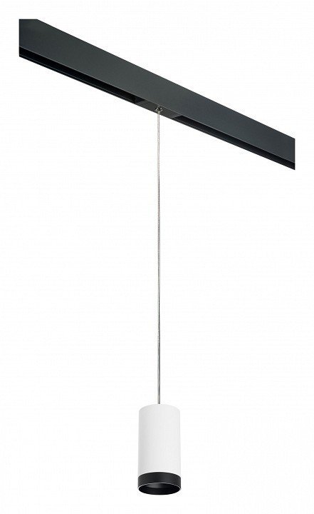 Фото Подвесной светильник Lightstar Rullo PRORP4363437 LS_PRORP4363437 - интернет-магазин МегаТерем в Москве