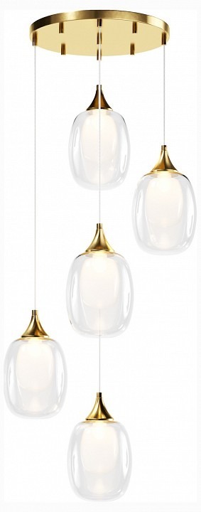 Фото Подвесной светильник Maytoni Aura MOD016PL-05BS MY_MOD016PL-05BS - интернет-магазин МегаТерем в Москве