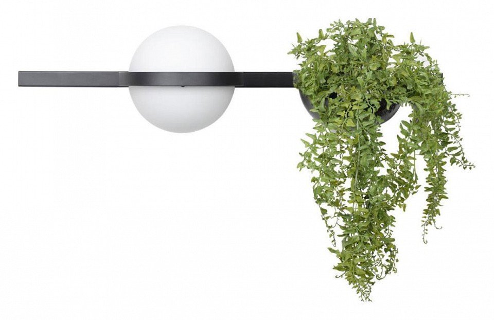 Фото Бра Loft it Jardin 10121W/A LF_10121W_A - интернет-магазин МегаТерем в Москве