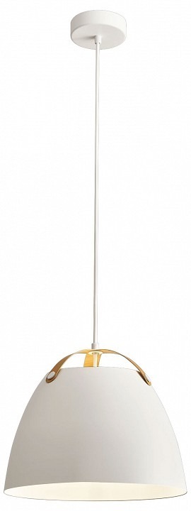 Фото Подвесной светильник Lightstar Loft 765046 LS_765046 - интернет-магазин МегаТерем в Москве