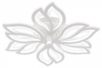 Потолочная люстра Natali Kovaltseva FORTUNA LED LAMPS 81107/6C KVL_44492