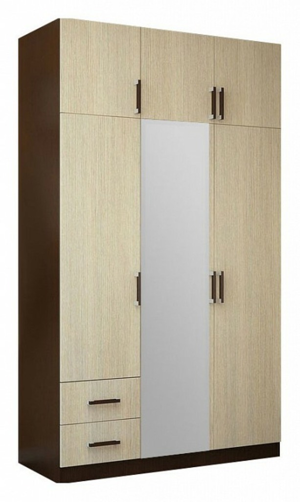 Фото Шкаф платяной BTS BTS_T0018318 - интернет-магазин МегаТерем в Москве