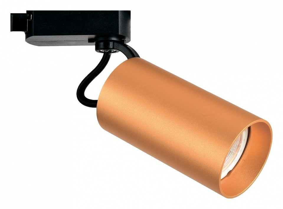 Фото Светильник на штанге Escada 20038 20038TRA/01 SGD ESC_20038TRA_01_SGD - интернет-магазин МегаТерем в Москве