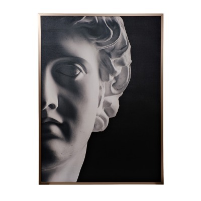 89VOR-APOLLON/1  Холст Апол...