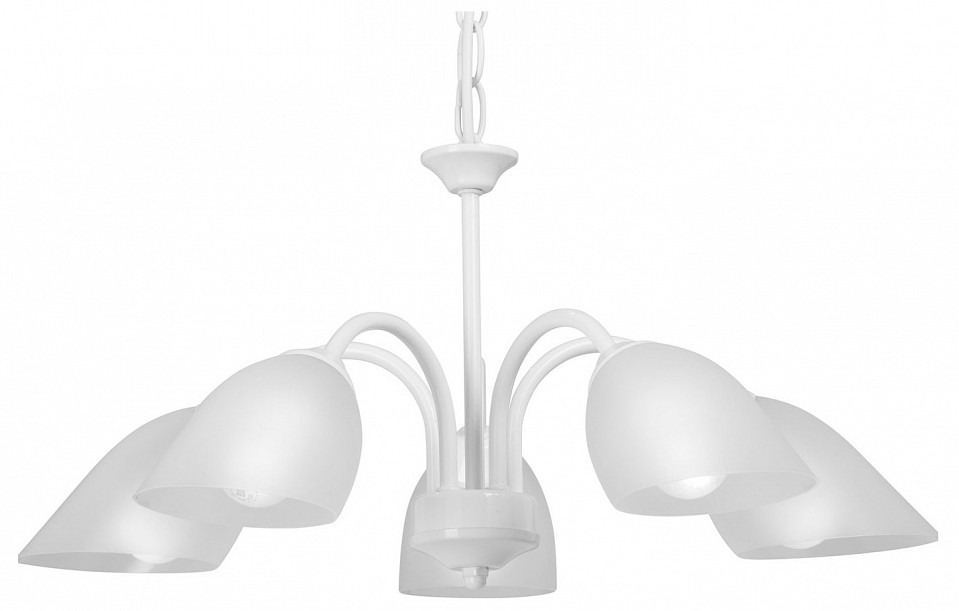 Фото Подвесная люстра Vitaluce V3336 V3336/5 VI_V3336_5 - интернет-магазин МегаТерем в Москве