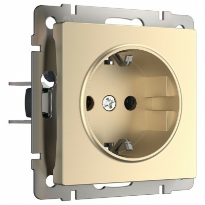 Розетка с заземлением, без рамки Werkel шампань W1171011 WRK_a050867
