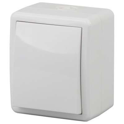 Переключатель одноклавишный Эра Эра Эксперт 11-1403-01 ER_B0020673