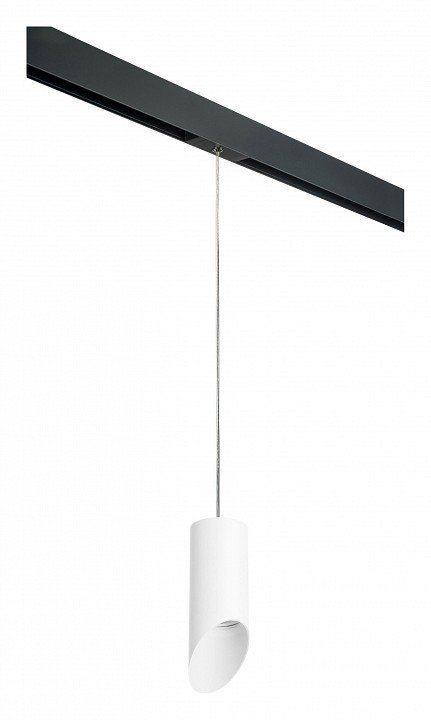 Фото Подвесной светильник Lightstar Rullo PRORP43636 LS_PRORP43636 - интернет-магазин МегаТерем в Москве