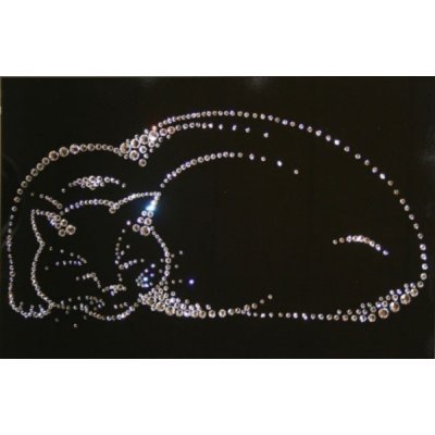 Картина Киска с кристаллами...