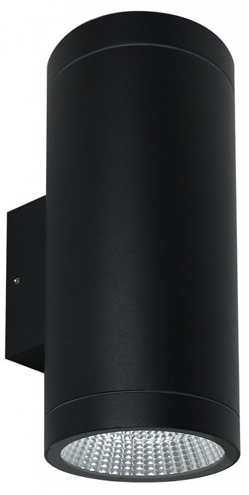 Фото Накладной светильник Arte Lamp TORCULAR A1313AL-2BK AR_A1313AL-2BK - интернет-магазин МегаТерем в Москве