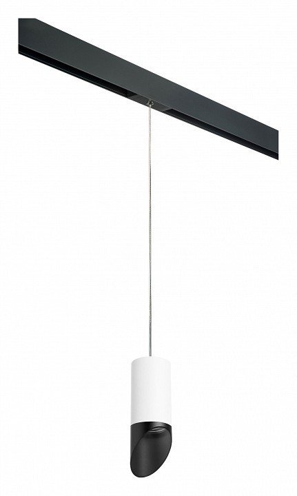 Фото Подвесной светильник Lightstar Rullo PRORP43637 LS_PRORP43637 - интернет-магазин МегаТерем в Москве